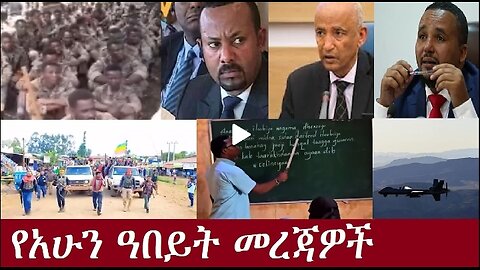 የአሁን ዓበይት መረጃዎች Nov 14,2024 #dere news #dera zena #zena tube #derejehabtewold #ethiopianews