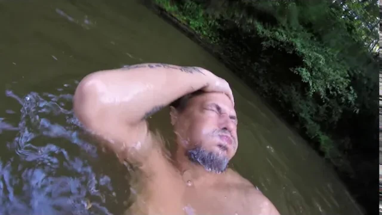 Take a dip with this river rat!