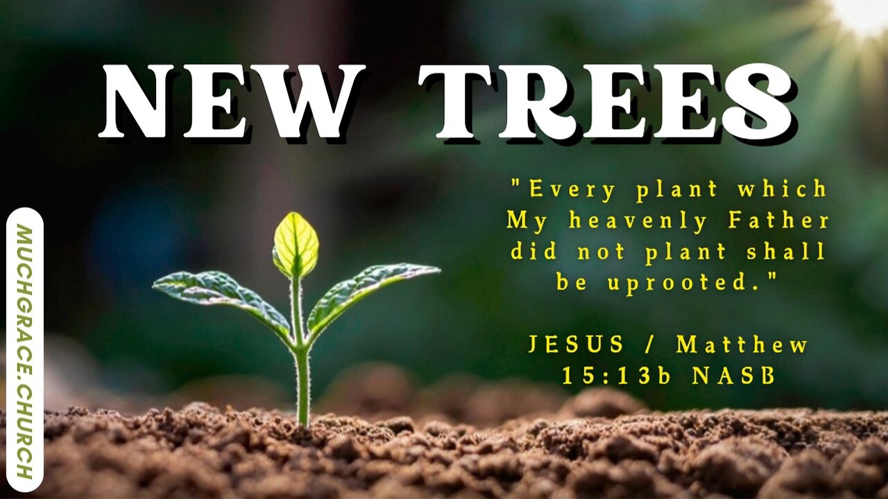 New Trees (1) : Word of Faith