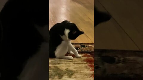 A Video