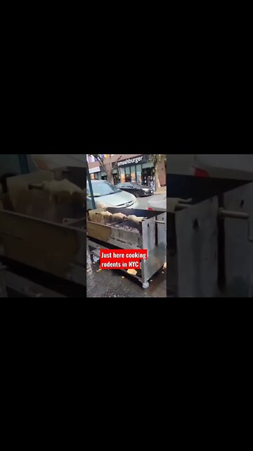 Cooking rodents in NYC...