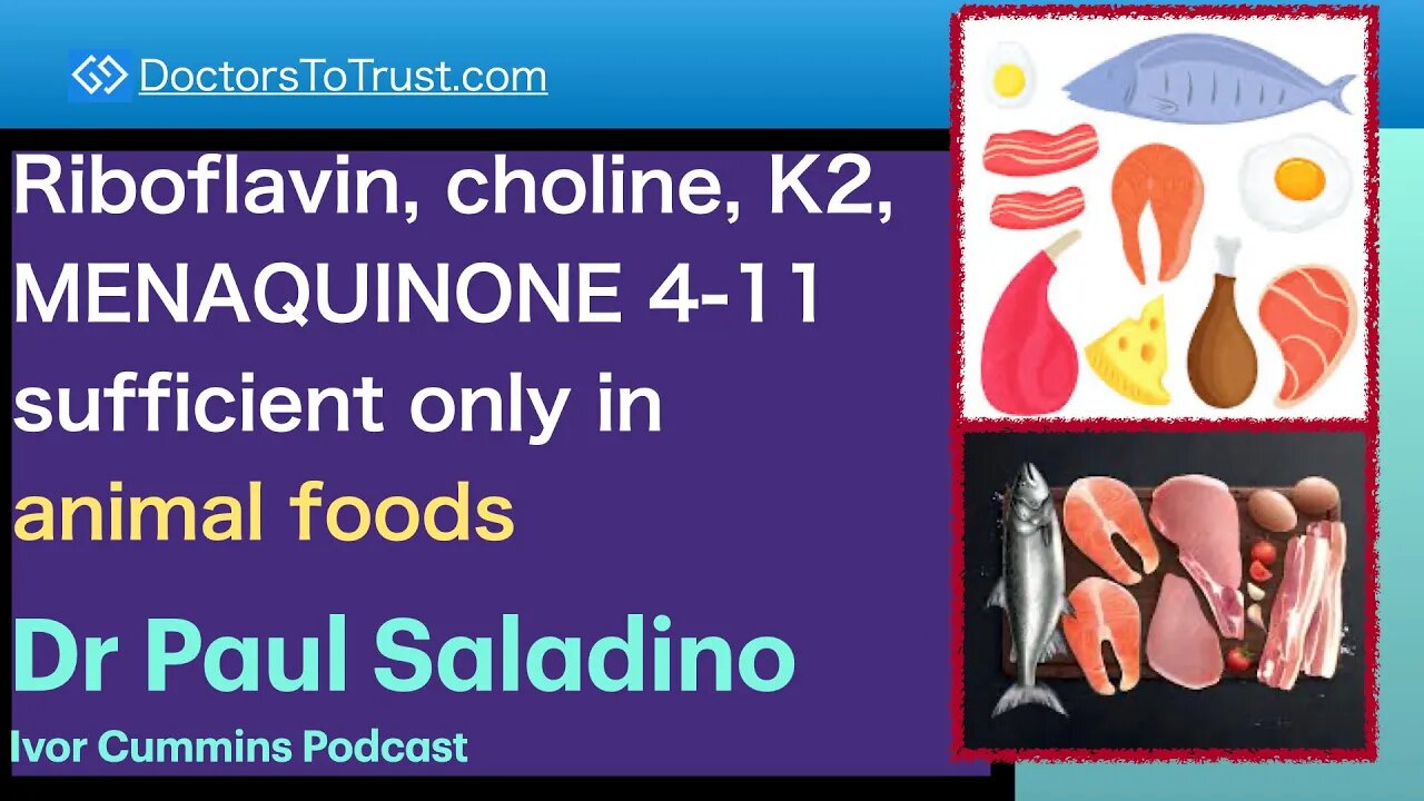 PAUL SALADINO 6 | Riboflavin, choline, K2, MENAQUINONE 4-11 sufficient only in animal foods