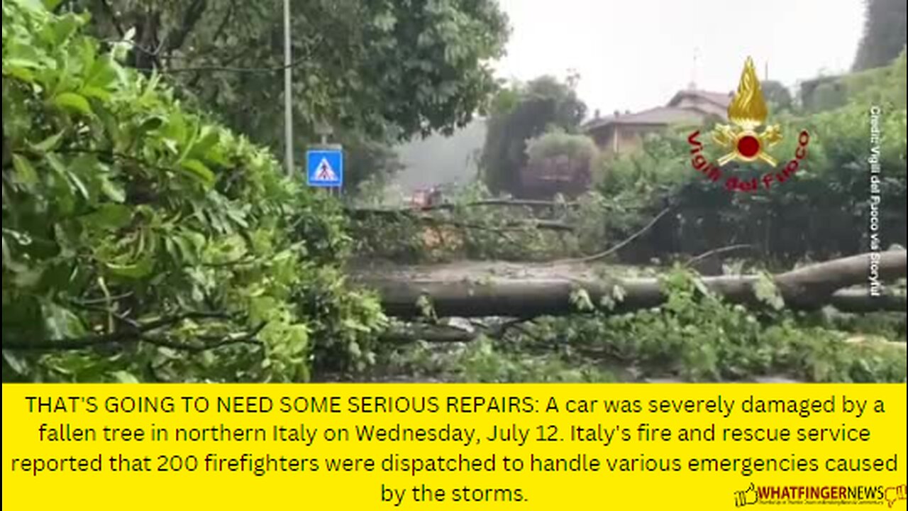 THAT'S GOING TO NEED SOME SERIOUS REPAIRS: A car was severely damaged by a fallen tree