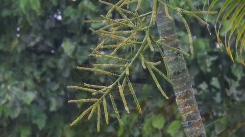 FEEL THE RAIN IN YOUR HOME