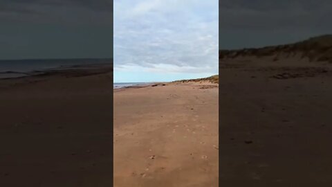 Dalvay beach PEI