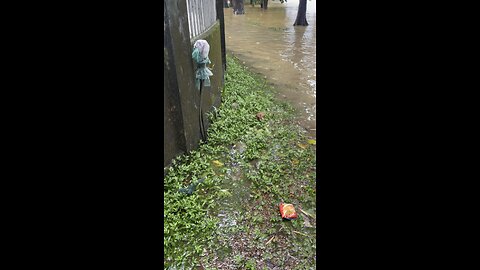 Big Flood in Bangladesh