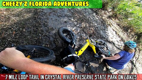 7 Mile Loop, Crystal River Preserve State Park with eBikes, alligators, manatees