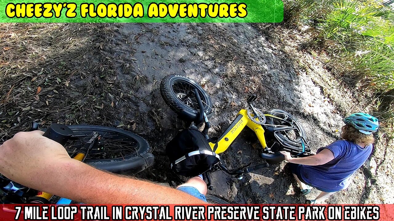 7 Mile Loop, Crystal River Preserve State Park with eBikes, alligators, manatees