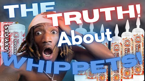 WHAT ARE WHIPPETS? | WHIPPET SONG REACTION!