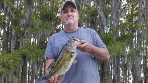 Exploring Caddo Lake