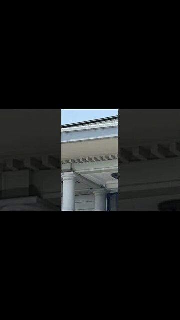 청와대 영빈관 오조룡기 윤석열 문재인