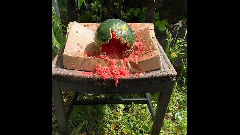 Death of a watermelon in slow motion