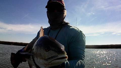Sight Fishing for Redfish in Myrtle Grove, LA in Jan