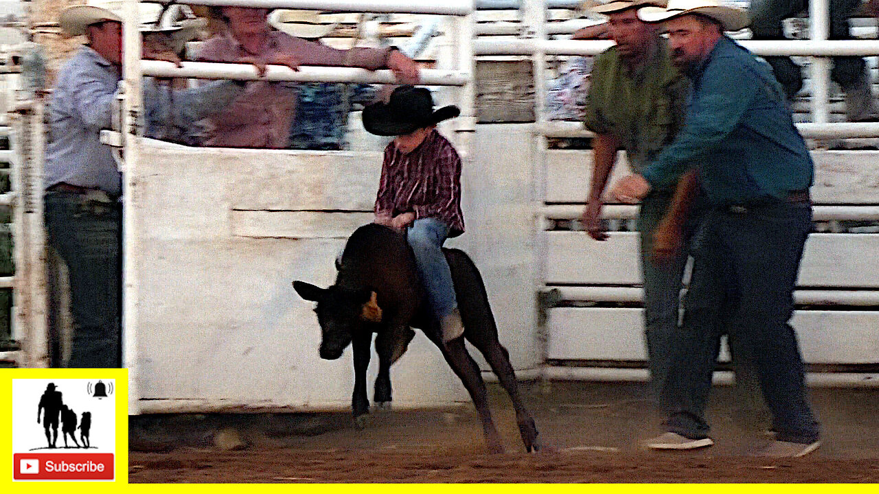 Calf Riding - 2022 Saint's Roost Ranch Rodeo | Friday