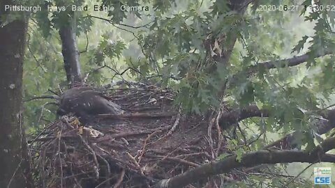 Hays Eagles H12 dancing in the rain 2020 06 21 16 28 31 284