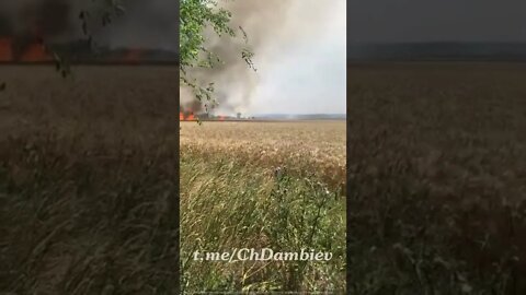 Ukrainian units burn wheat fields
