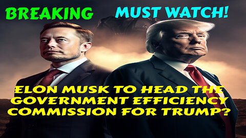 ELON MUSK TO HEAD THE GOVERNMENT EFFICIENCY COMMISSION FOR TRUMP?