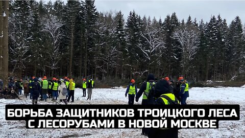 Борьба защитников Троицкого леса с лесорубами в Новой Москве / LIVE 02.02.22