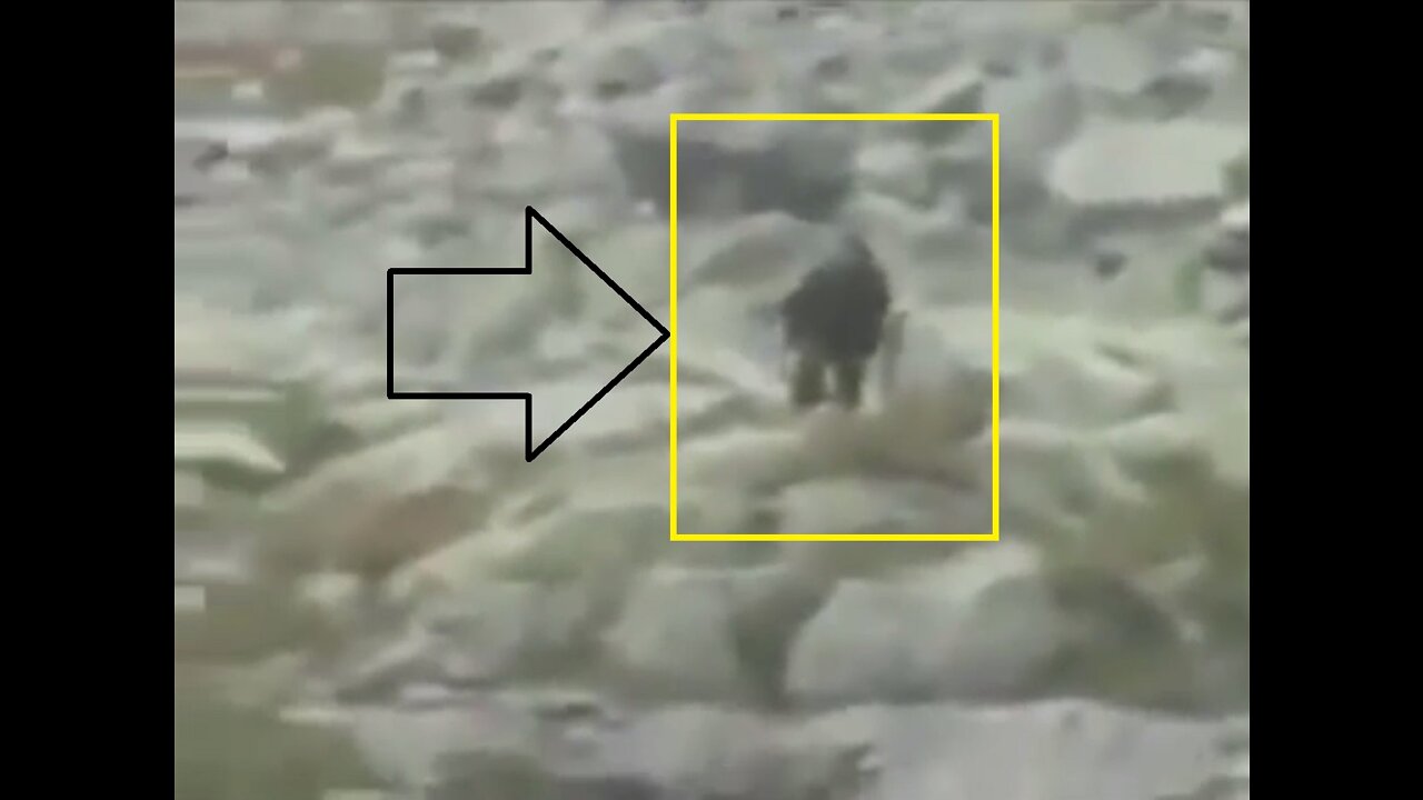 BIGFOOT filmed in Tatra Mountains Poland during early 1990s?!?!?!