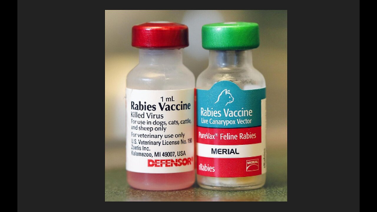 THE TRUTH ABOUT THE RABIES VAXX- (Part 1)