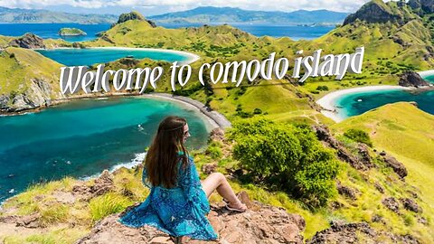 Berwisata di pulau komodo