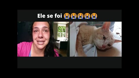Infelizmente ele se foi 😭😭😭