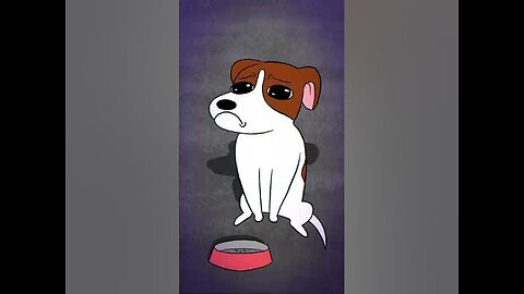 A Sad Cat and Dog song