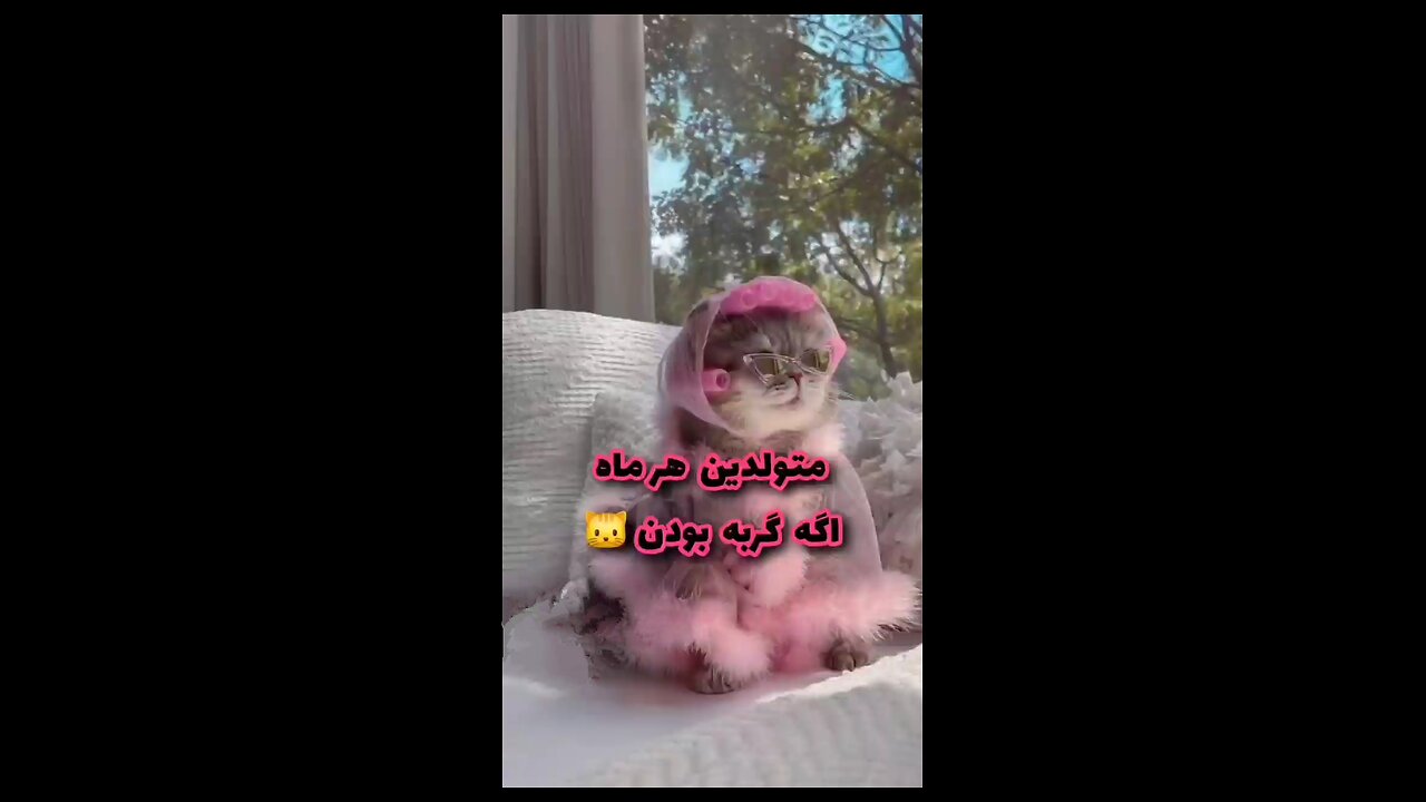 خخخخخ 🤣