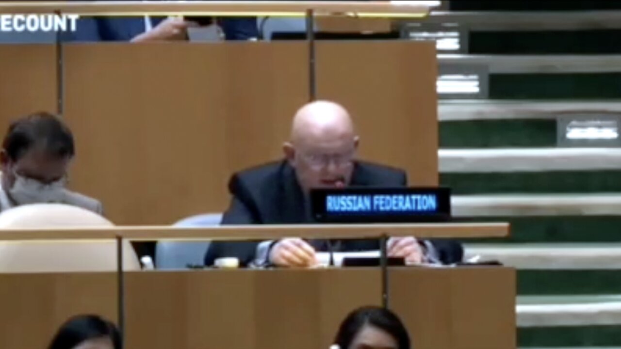 Russian Ambassador to UN Claims Foreign Countries Overthrew President Trump