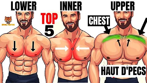 TOP 5 INNER ,LOWER AND UPPER CHEST WORKOUT AT GYM / Meilleurs exs Musculation poitrine .