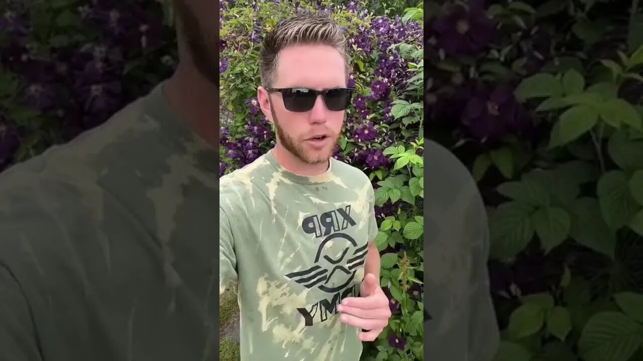 $37,000 Per XRP