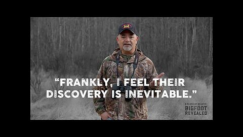 A Flash of Beauty: Todd Neiss (2nd interview)