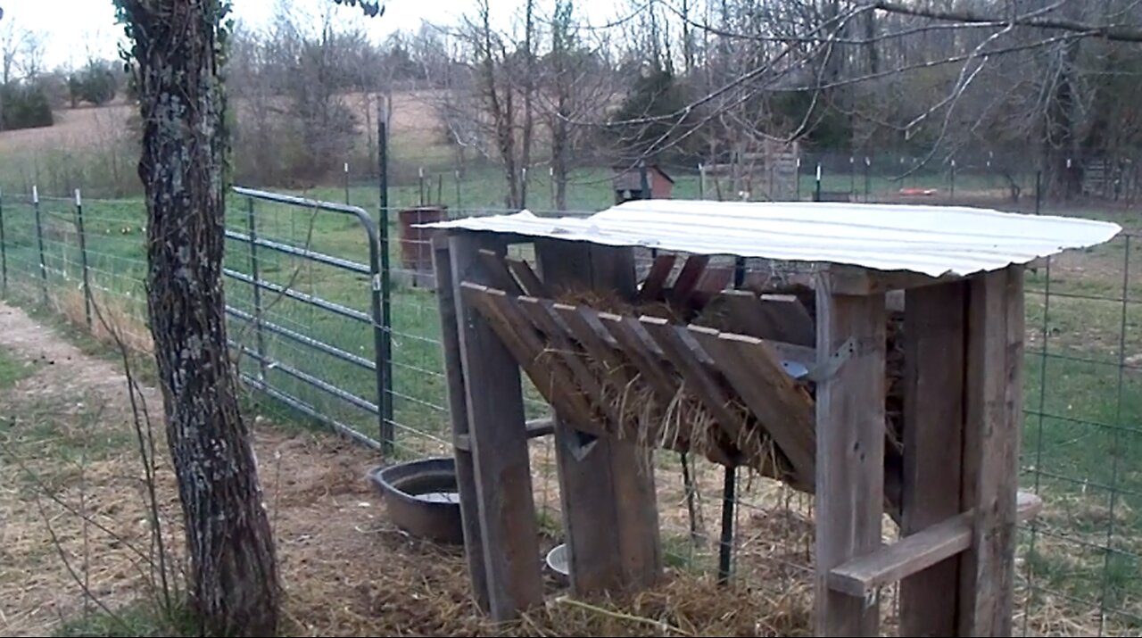 Using Free Pallets on the Homestead