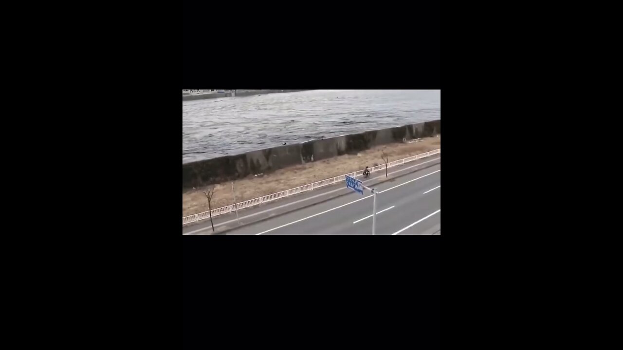 Tsunami in Japan Crazy