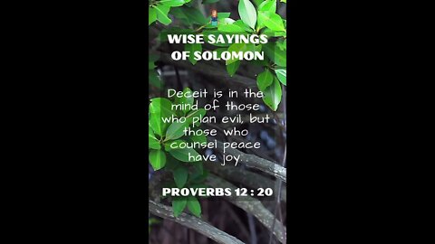 Proverbs 12:20 | Wise Sayings of Solomon