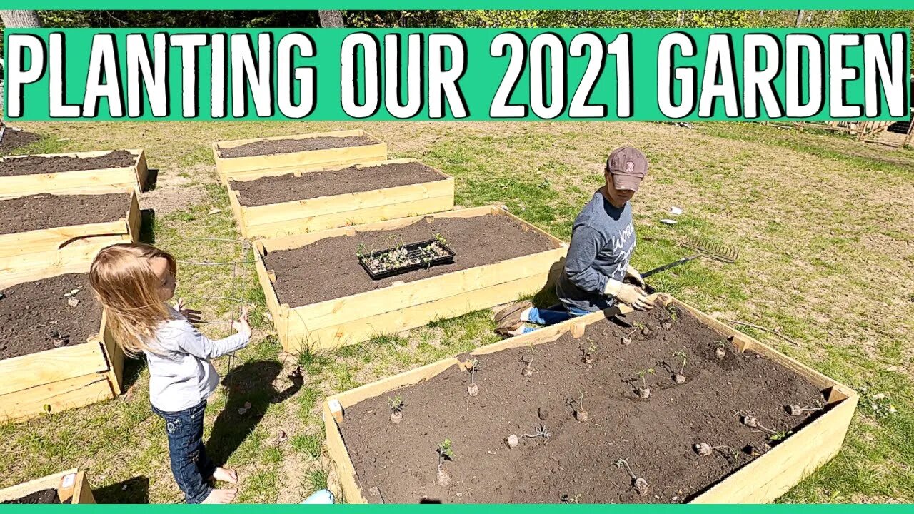 Transplanting our 2021 Garden into our $20 Raised Beds ||Adding some fruit to the property||