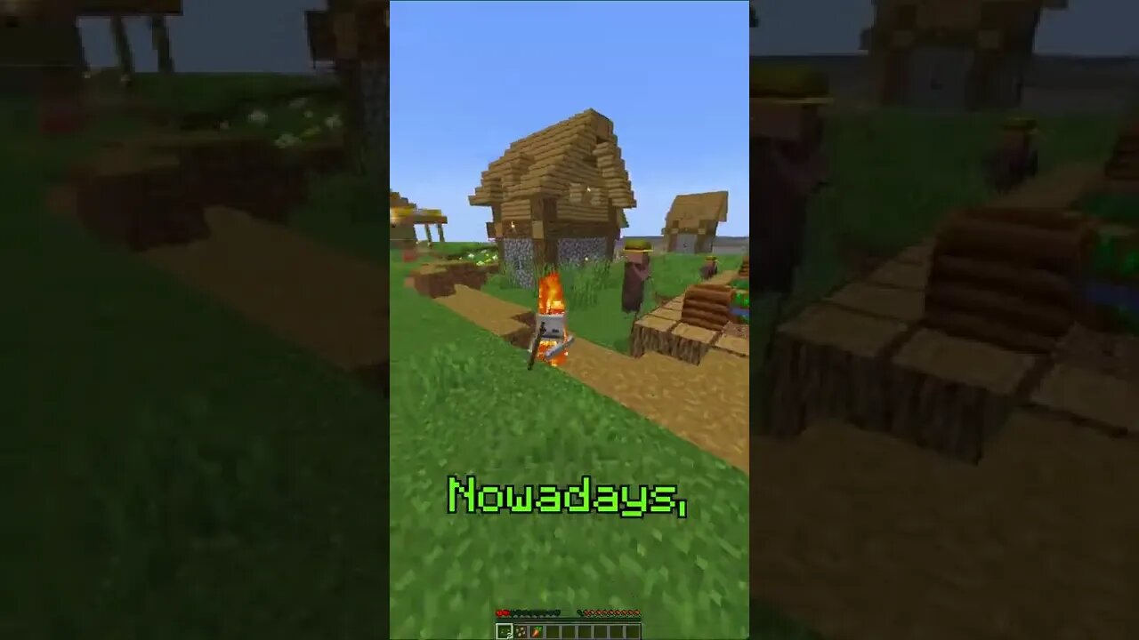 Only Minecraft Veterans Know these facts