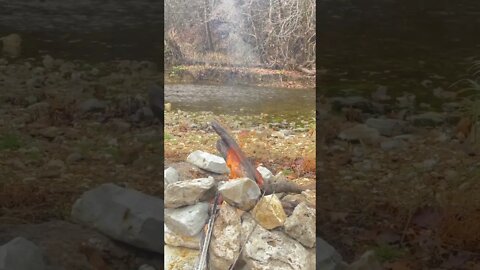 Sometimes you just need to reset in nature. #Nature #shorts #creek