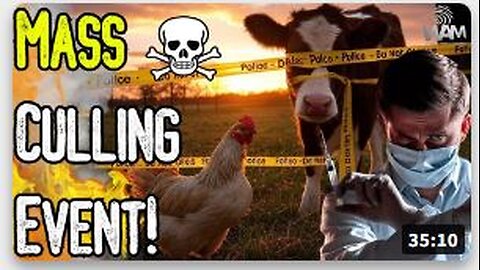 MASS CULLING EVENT! - Bird Flu Hoax Leads To Culling Of Millions Of Animals As Travel Alerts Issued!