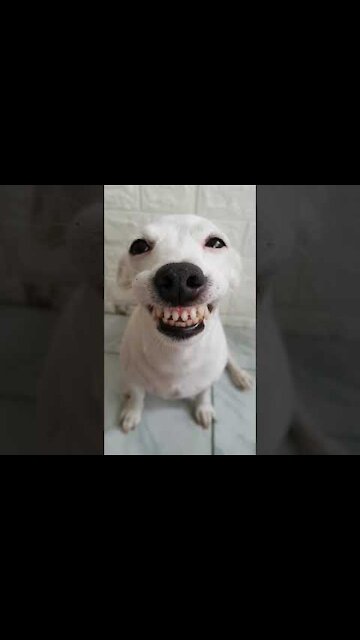 My face when someone says they don't like me😄