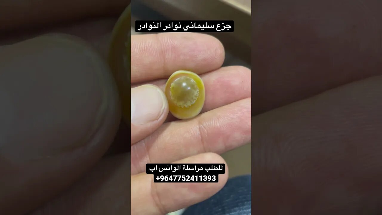 جزع سليماني #السعودية #امارات #بحرينيات #عراق #قطر