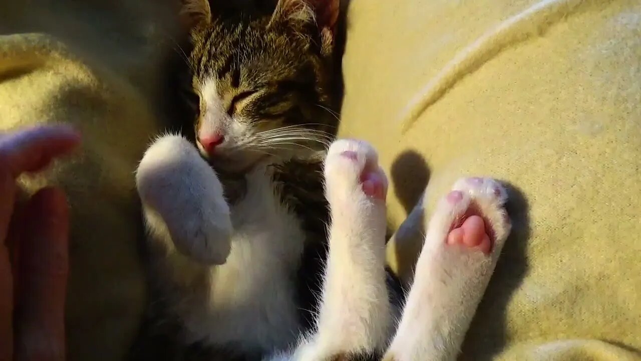 I Will Show You My Toe Beans and My Little Red Nose