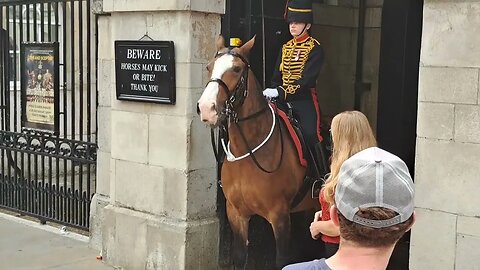 Kings troop horses is vocal #horseguardsparade