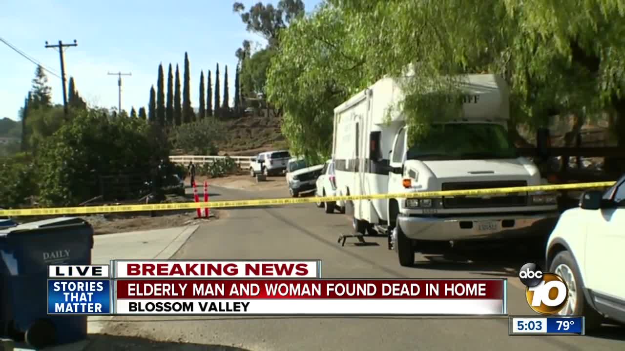 Elderly couple found dead in home