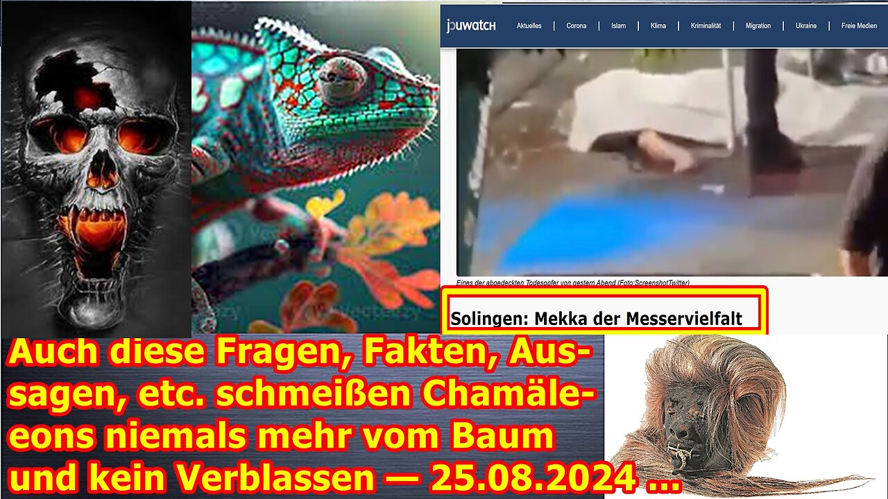 Auch diese Fragen, Fakten, Aussagen, etc. schmeißen Chamäleons niemals mehr vom Baum — 25.08.24 ...