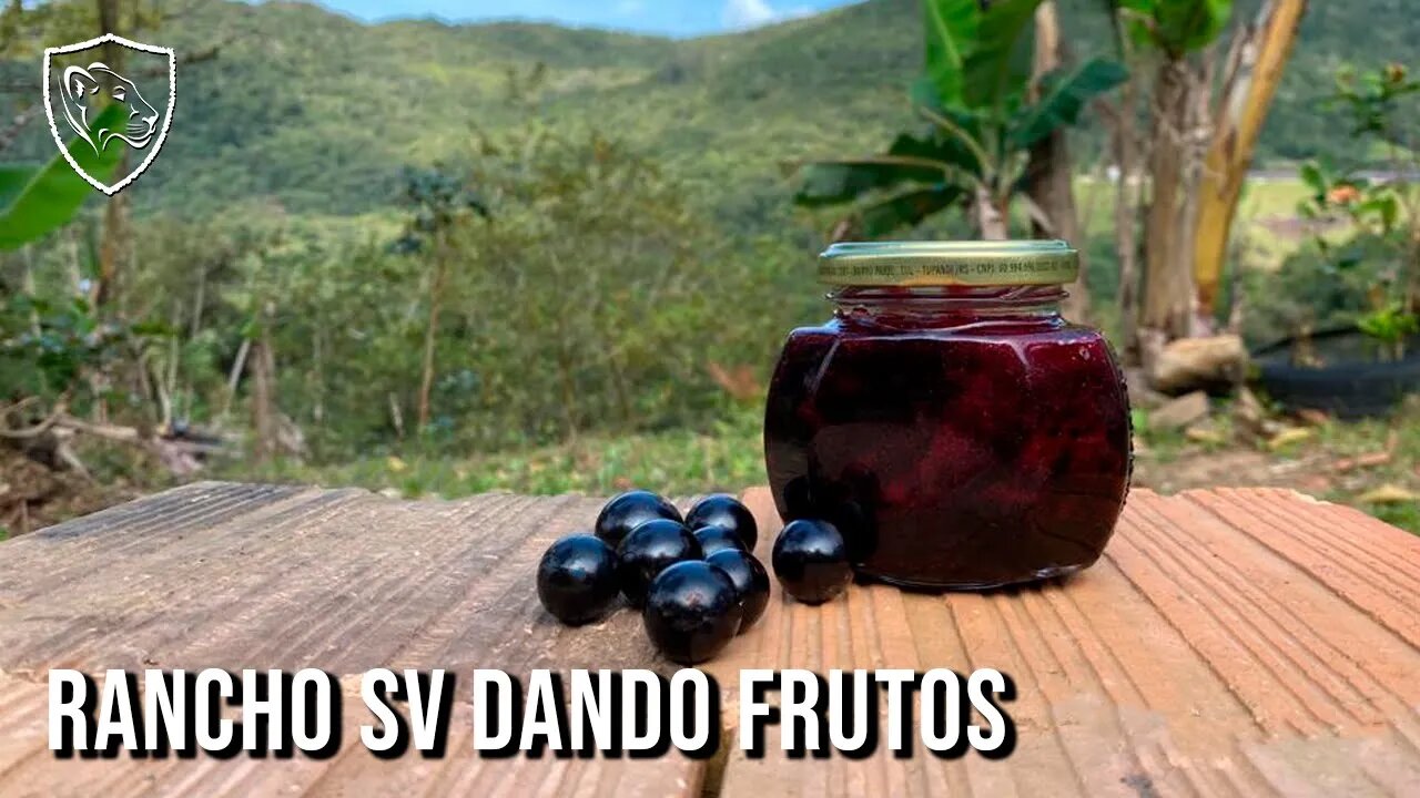 Como preparar GELEIA de JABUTICABA