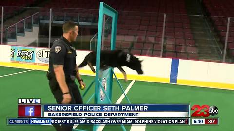 Four-legged K9 Officer showcase their skills