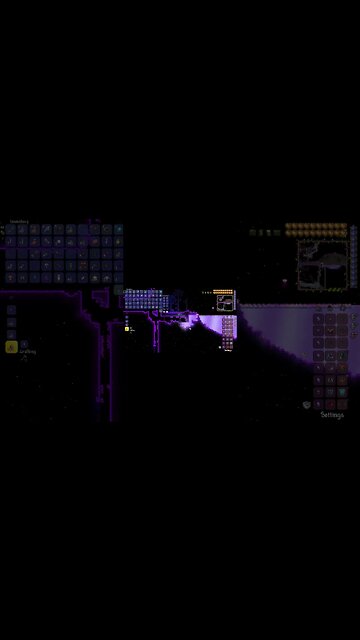 Trading Hats! ~ Terraria #shorts #subscribe