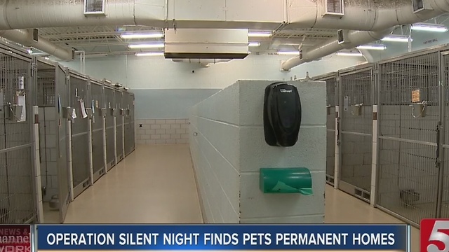 Operation Silent Night Helps Pets Find Homes