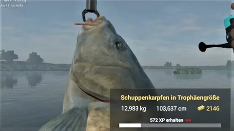 Fishing Planet Folge 486 Karpfen Level 34 in Kalifornien